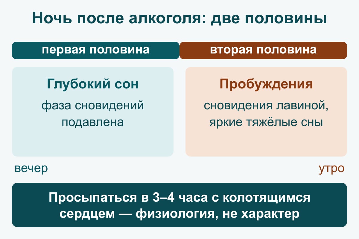 Схема: ночь после алкоголя из двух половин — первая половина: глубокий сон, фаза сновидений подавлена; вторая половина: частые пробуждения, сновидения лавиной, яркие тяжёлые сны